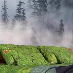 Deer Premium * Zakopane
