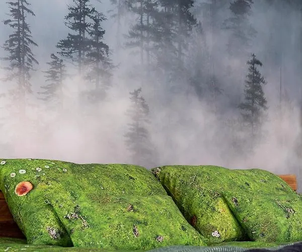 Deer Premium * Zakopane