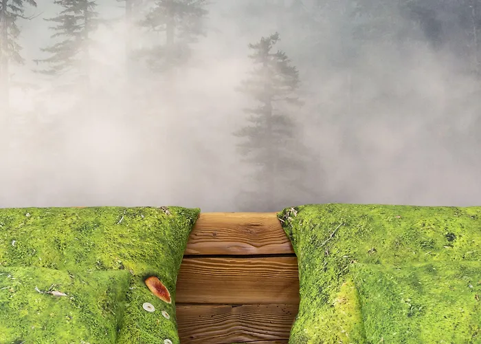 Deer Premium アパート ザコパネ