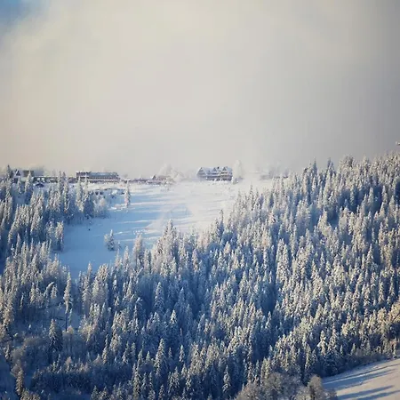Deer Premium Zakopane
