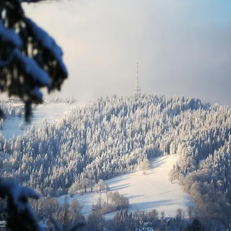 Deer Premium Zakopane