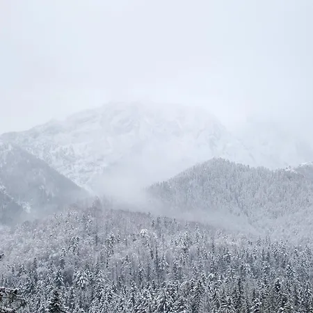 Deer Premium Zakopane