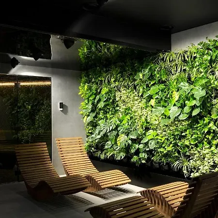 Deer Premium * Zakopane