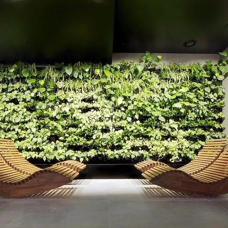 Deer Premium Zakopane